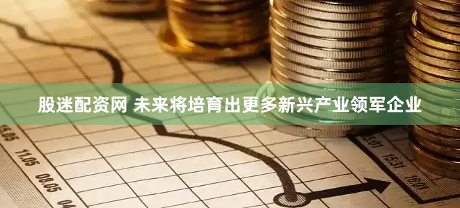 股迷配资网 未来将培育出更多新兴产业领军企业